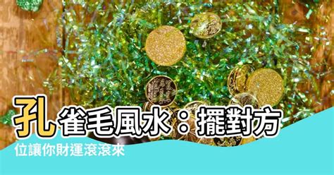 孔雀毛风水摆设|【孔雀毛風水】【孔雀毛風水大公開】擺錯位置招不來。